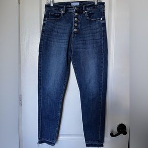Loft Button Fly Skinny Jeans